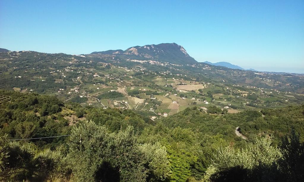 Agriturismo San Michele Paternopoli Luaran gambar